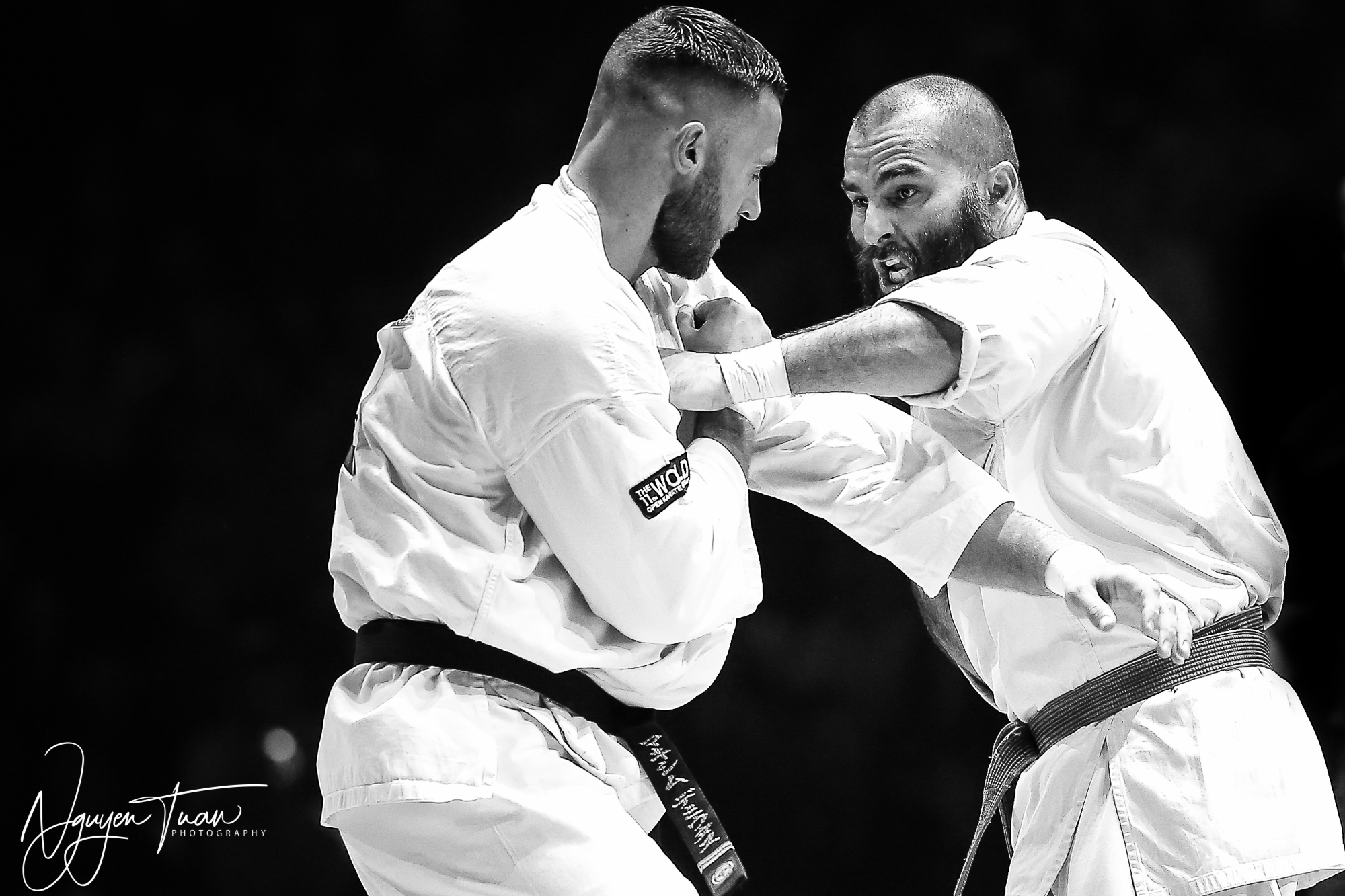 20190324 Festival des Arts Martiaux 6124